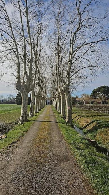 Hebergement - Canal Du Midi Saint-Martin-Lalande Exterior foto